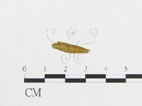登錄號:F0011628藏品圖，第4張