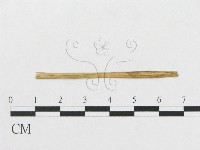 登錄號:F0011629藏品圖，第4張