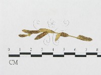 登錄號:F0011630藏品圖，第1張