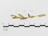 登錄號:F0011630藏品圖，第4張