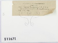 登錄號:F0011631藏品圖，第3張