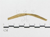 登錄號:F0011631藏品圖，第4張