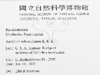 登錄號:F0011632藏品圖，第3張