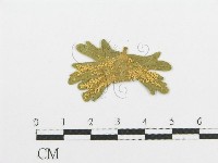 登錄號:F0011632藏品圖，第4張