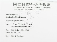 登錄號:F0011633藏品圖，第3張