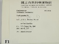 登錄號:F0011634藏品圖，第2張