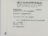 登錄號:F0011638藏品圖，第2張
