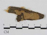 登錄號:F0011638藏品圖，第1張