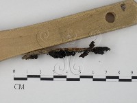 登錄號:F0011639藏品圖，第3張
