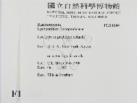 登錄號:F0011640藏品圖，第2張