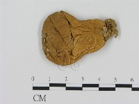 登錄號:F0011640藏品圖，第1張