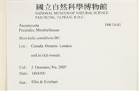 登錄號:F0011641藏品圖，第5張