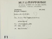 登錄號:F0011642藏品圖，第2張