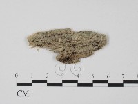 登錄號:F0011643藏品圖，第1張