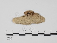 登錄號:F0011643藏品圖，第3張