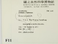 登錄號:F0011644藏品圖，第2張