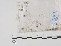 登錄號:F0011644藏品圖，第3張