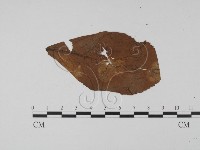 登錄號:F0011645藏品圖，第3張