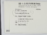 登錄號:F0011646藏品圖，第2張