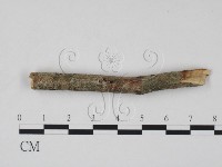 登錄號:F0011646藏品圖，第1張