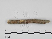 登錄號:F0011646藏品圖，第3張