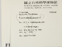 登錄號:F0011648藏品圖，第2張