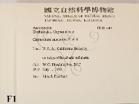 登錄號:F0011649藏品圖，第2張
