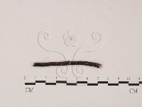 登錄號:F0011649藏品圖，第1張