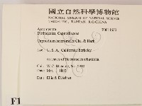 登錄號:F0011650藏品圖，第2張