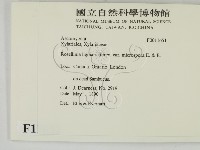 登錄號:F0011651藏品圖，第2張
