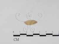 登錄號:F0011651藏品圖，第3張