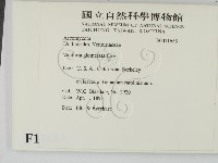 登錄號:F0011653藏品圖，第2張