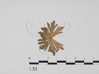 登錄號:F0011653藏品圖，第3張