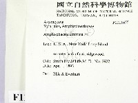 登錄號:F0011655藏品圖，第2張