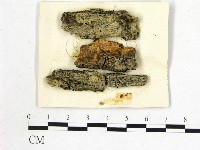 登錄號:F0011655藏品圖，第1張