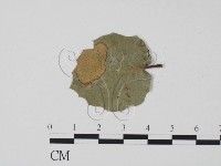 登錄號:F0011656藏品圖，第1張