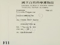 登錄號:F0011657藏品圖，第2張