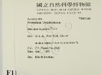 登錄號:F0011660藏品圖，第2張