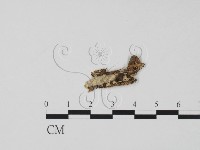 登錄號:F0011660藏品圖，第3張