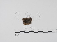 登錄號:F0011661藏品圖，第3張