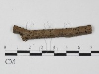 登錄號:F0011664藏品圖，第1張