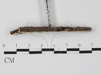 登錄號:F0011664藏品圖，第3張