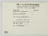 登錄號:F0011667藏品圖，第2張