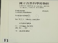 登錄號:F0011671藏品圖，第2張