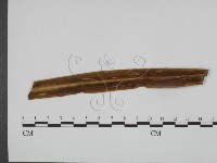 登錄號:F0011672藏品圖，第1張
