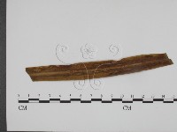登錄號:F0011672藏品圖，第3張