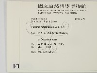 登錄號:F0011673藏品圖，第2張
