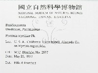 登錄號:F0011674藏品圖，第2張