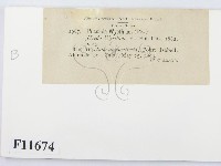 登錄號:F0011674藏品圖，第3張