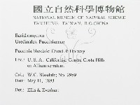 登錄號:F0011676藏品圖，第2張